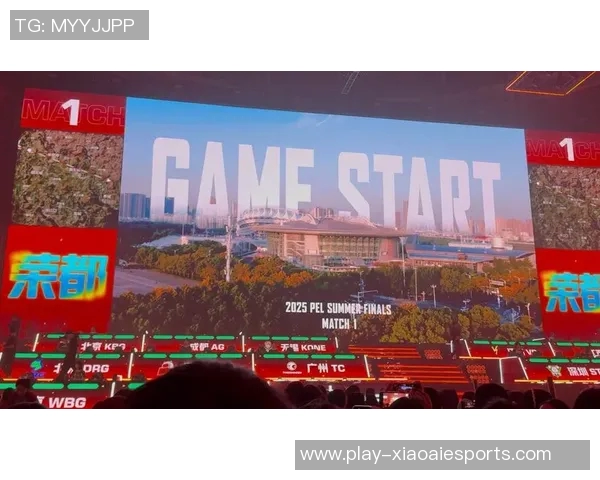 探索EDG在和平精英总决赛中的灵活战术与团队协作之道